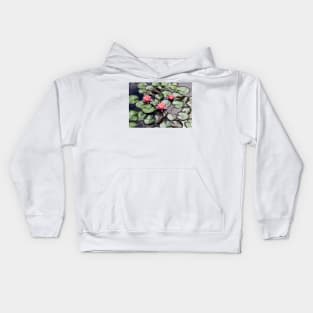 Pink Water Lilly Flower Trio floating on a Garden Pond Kids Hoodie